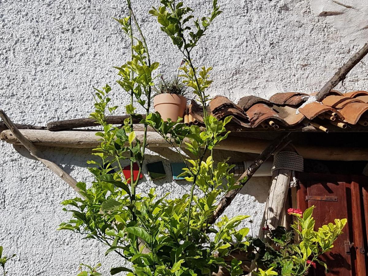 Càbras Limolo Guesthouse מראה חיצוני תמונה